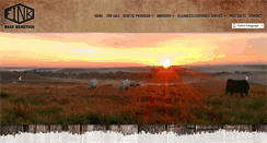Desktop Screenshot of finkbeefgenetics.com